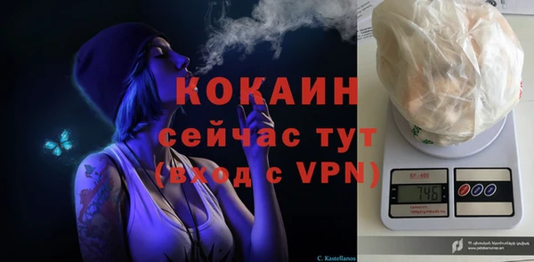 соль ск Мегион