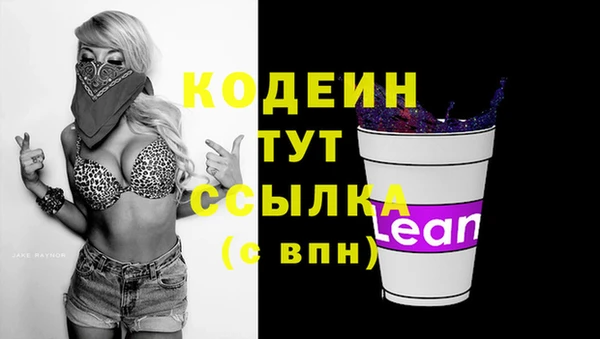 стаф Медвежьегорск