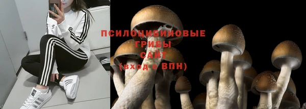 соль ск Мегион