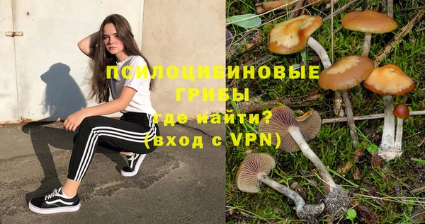 соль ск Мегион