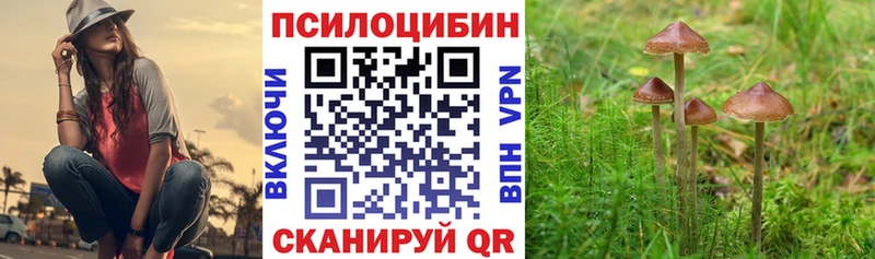Галлюциногенные грибы прущие грибы  MEGA сайт  Сысерть  наркота 